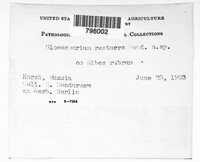 Image Associated With the Occurence